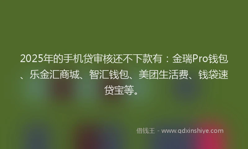 2025年的手机贷审核还不下款有：金瑞Pro钱包、乐金汇商城、智汇钱包、美团生活费、钱袋速贷宝等。