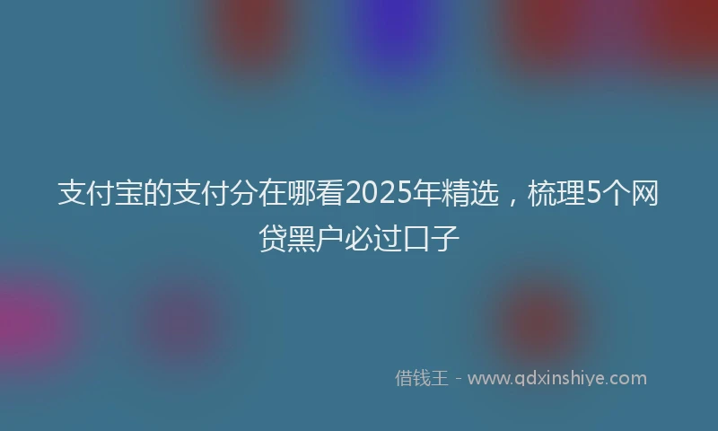 支付宝的支付分在哪看2025年精选，梳理5个网贷黑户必过口子