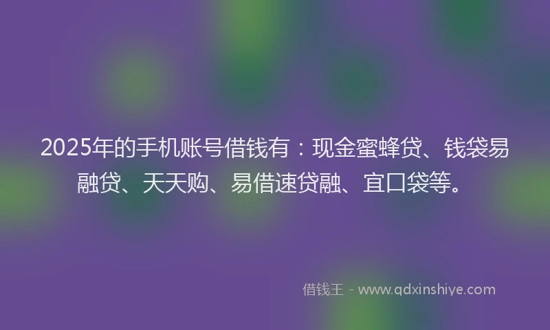 2025年的手机账号借钱有：现金蜜蜂贷、钱袋易融贷、天天购、易借速贷融、宜口袋等。