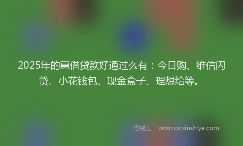 2025年的惠借贷款好通过么有：今日购、维信闪贷、小花钱包、现金盒子、理想给等。
