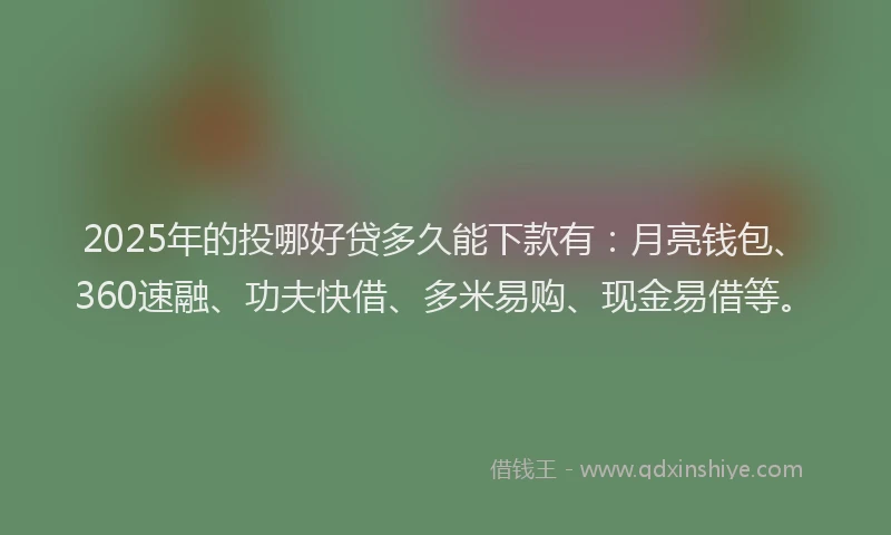 2025年的投哪好贷多久能下款有：月亮钱包、360速融、功夫快借、多米易购、现金易借等。