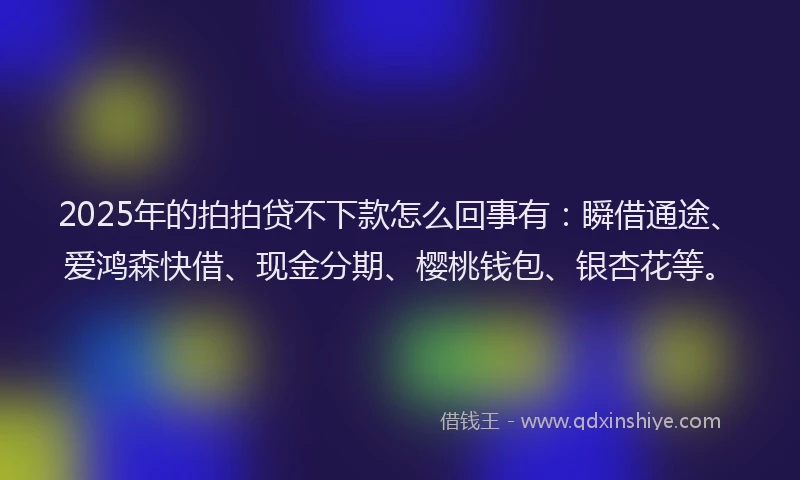 2025年的拍拍贷不下款怎么回事有：瞬借通途、爱鸿森快借、现金分期、樱桃钱包、银杏花等。