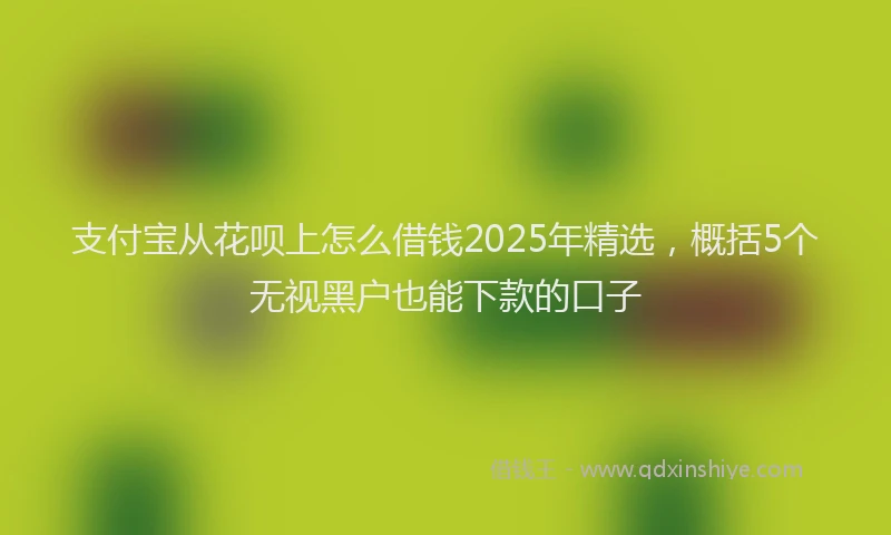 支付宝从花呗上怎么借钱2025年精选，概括5个无视黑户也能下款的口子