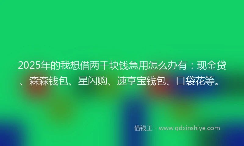2025年的我想借两千块钱急用怎么办有：现金贷、森森钱包、星闪购、速享宝钱包、口袋花等。