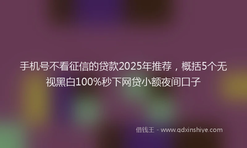 手机号不看征信的贷款2025年推荐，概括5个无视黑白100%秒下网贷小额夜间口子
