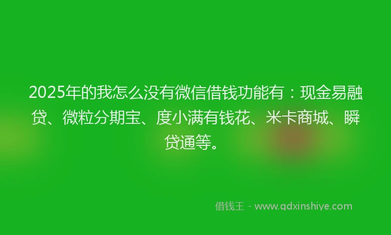 2025年的我怎么没有微信借钱功能有：现金易融贷、微粒分期宝、度小满有钱花、米卡商城、瞬贷通等。