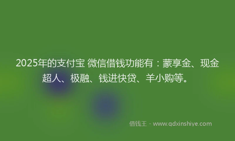 2025年的支付宝 微信借钱功能有：蒙享金、现金超人、极融、钱进快贷、羊小购等。