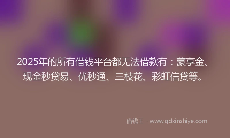 2025年的所有借钱平台都无法借款有：蒙享金、现金秒贷易、优秒通、三枝花、彩虹信贷等。