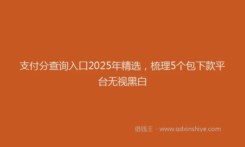 支付分查询入口2025年精选，梳理5个包下款平台无视黑白