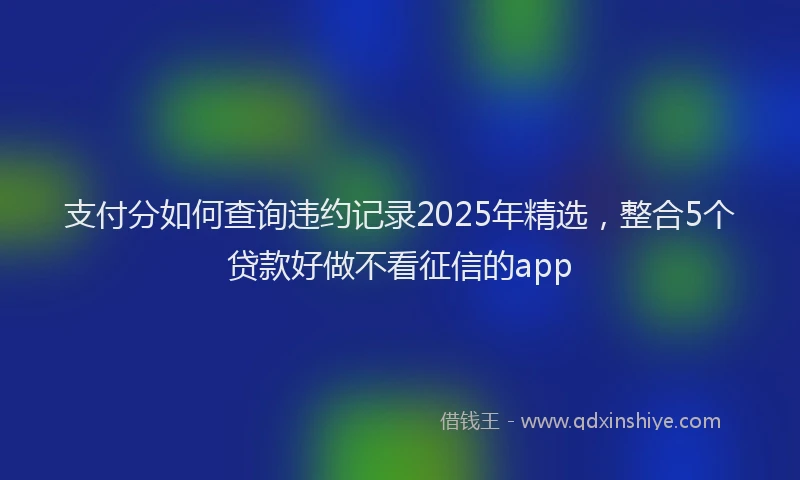 支付分如何查询违约记录2025年精选，整合5个贷款好做不看征信的app