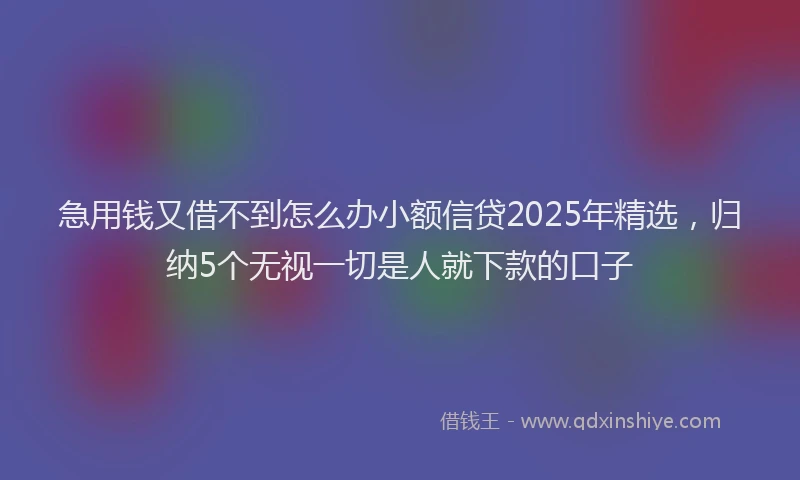 急用钱又借不到怎么办小额信贷2025年精选，归纳5个无视一切是人就下款的口子