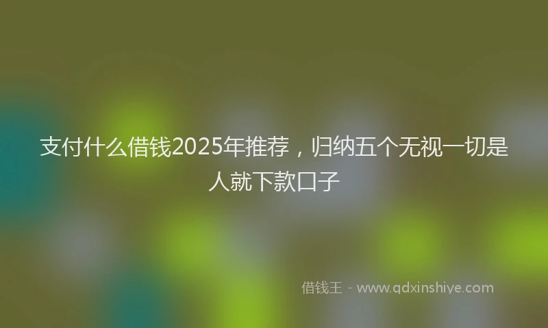 支付什么借钱2025年推荐，归纳五个无视一切是人就下款口子