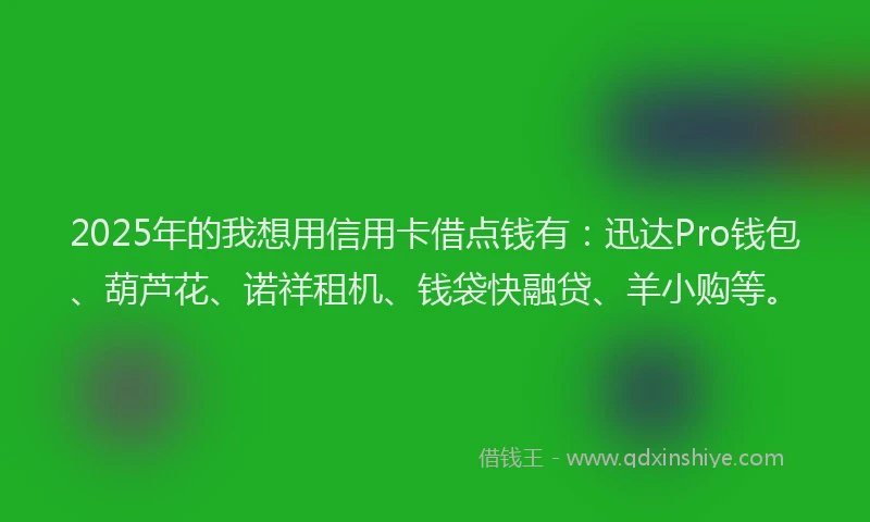 2025年的我想用信用卡借点钱有：迅达Pro钱包、葫芦花、诺祥租机、钱袋快融贷、羊小购等。