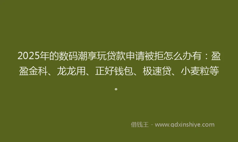 2025年的数码潮享玩贷款申请被拒怎么办有：盈盈金科、龙龙用、正好钱包、极速贷、小麦粒等。