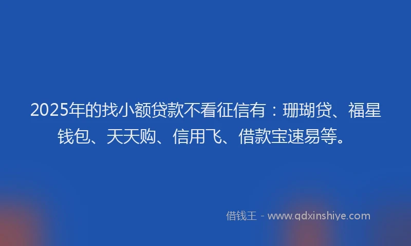 2025年的找小额贷款不看征信有：珊瑚贷、福星钱包、天天购、信用飞、借款宝速易等。