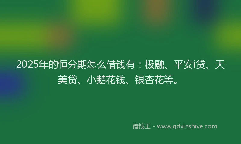 2025年的恒分期怎么借钱有：极融、平安i贷、天美贷、小鹅花钱、银杏花等。