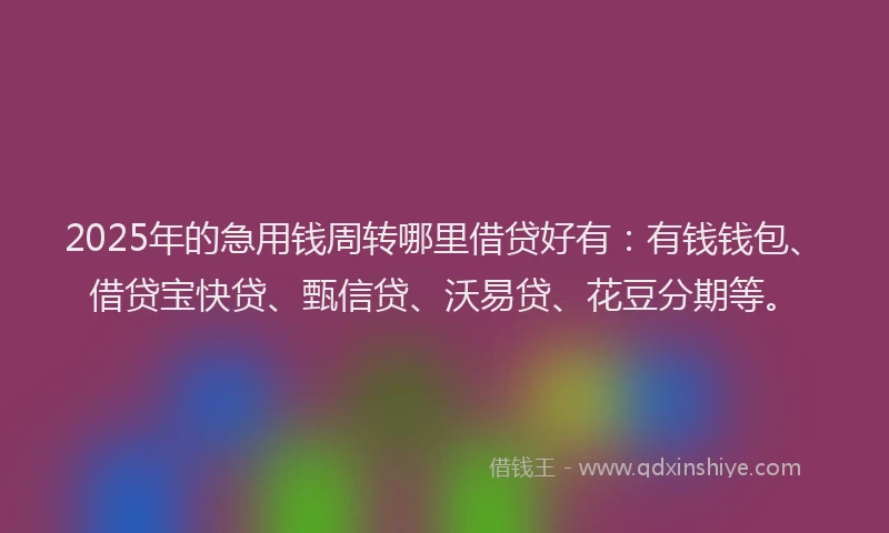 2025年的急用钱周转哪里借贷好有：有钱钱包、借贷宝快贷、甄信贷、沃易贷、花豆分期等。