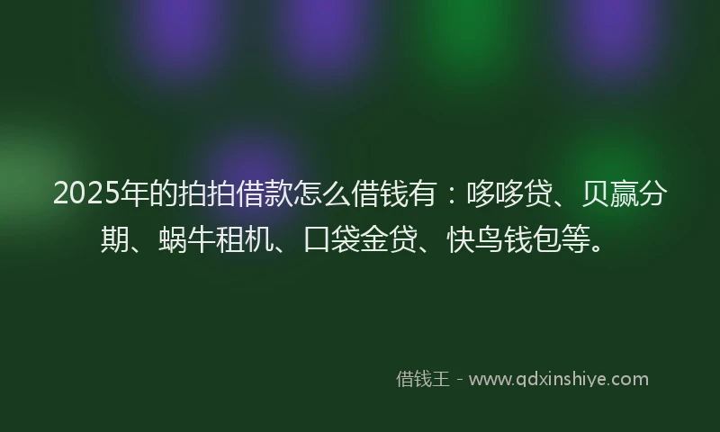 2025年的拍拍借款怎么借钱有：哆哆贷、贝赢分期、蜗牛租机、口袋金贷、快鸟钱包等。
