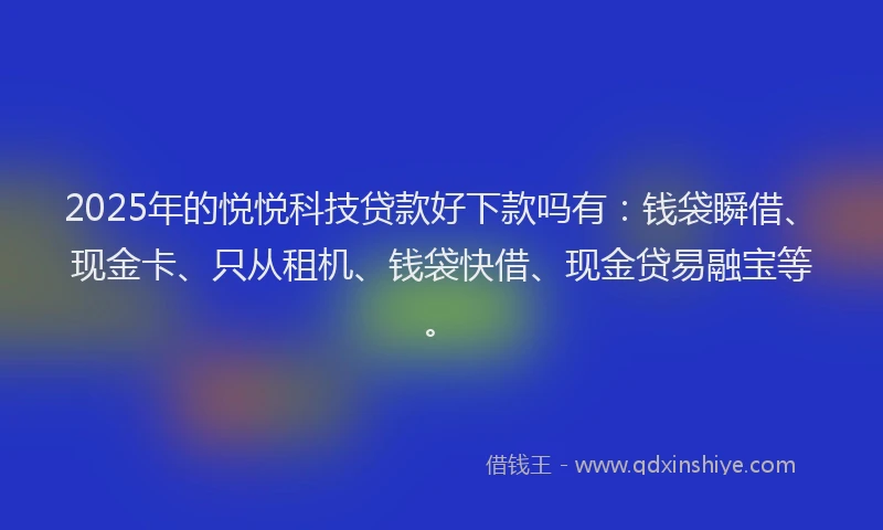 2025年的悦悦科技贷款好下款吗有：钱袋瞬借、现金卡、只从租机、钱袋快借、现金贷易融宝等。