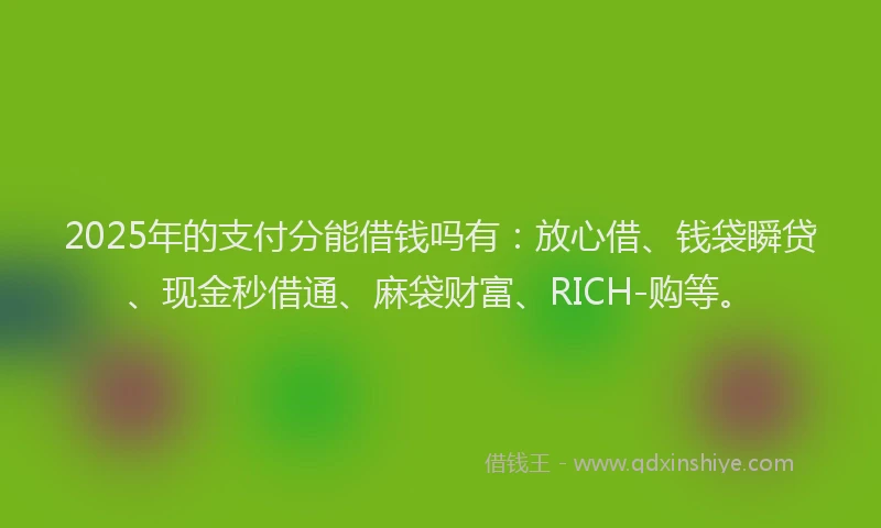 2025年的支付分能借钱吗有：放心借、钱袋瞬贷、现金秒借通、麻袋财富、RICH-购等。