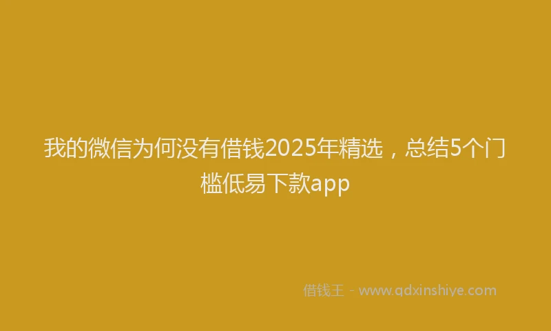 我的微信为何没有借钱2025年精选，总结5个门槛低易下款app