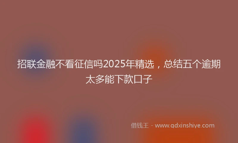 招联金融不看征信吗2025年精选，总结五个逾期太多能下款口子