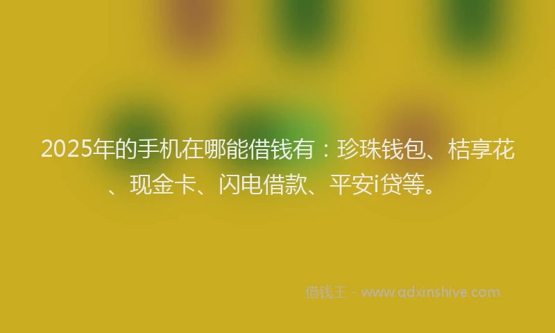 2025年的手机在哪能借钱有：珍珠钱包、桔享花、现金卡、闪电借款、平安i贷等。