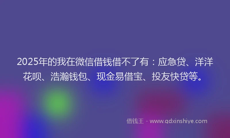 2025年的我在微信借钱借不了有：应急贷、洋洋花呗、浩瀚钱包、现金易借宝、投友快贷等。