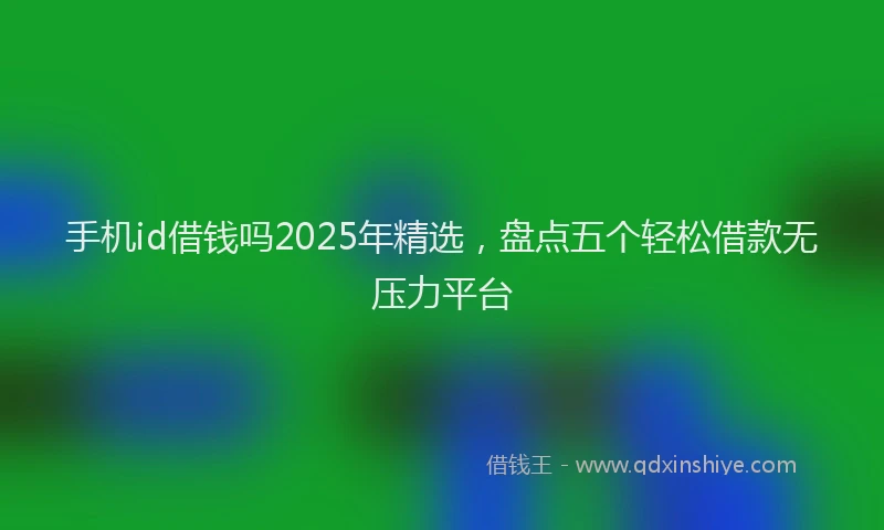 手机id借钱吗2025年精选，盘点五个轻松借款无压力平台