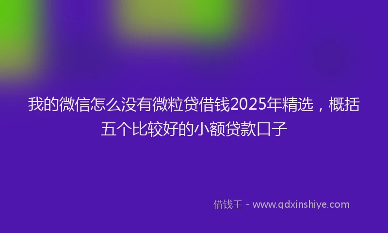 我的微信怎么没有微粒贷借钱2025年精选，概括五个比较好的小额贷款口子