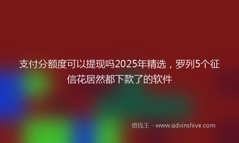 支付分额度可以提现吗2025年精选，罗列5个征信花居然都下款了的软件