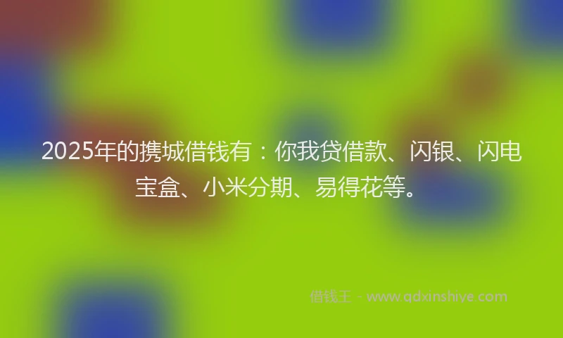 2025年的携城借钱有：你我贷借款、闪银、闪电宝盒、小米分期、易得花等。
