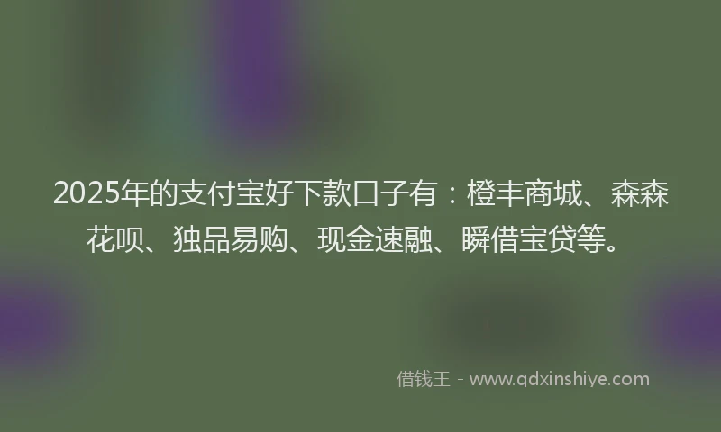 2025年的支付宝好下款口子有：橙丰商城、森森花呗、独品易购、现金速融、瞬借宝贷等。