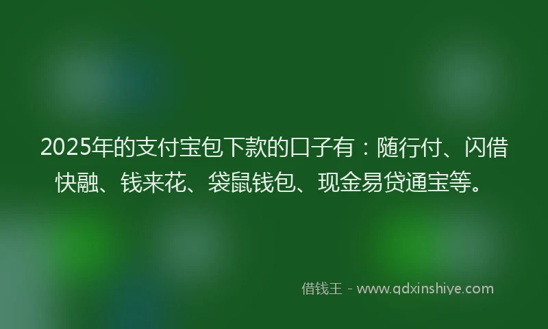 2025年的支付宝包下款的口子有：随行付、闪借快融、钱来花、袋鼠钱包、现金易贷通宝等。