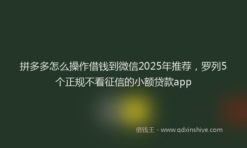 拼多多怎么操作借钱到微信2025年推荐，罗列5个正规不看征信的小额贷款app