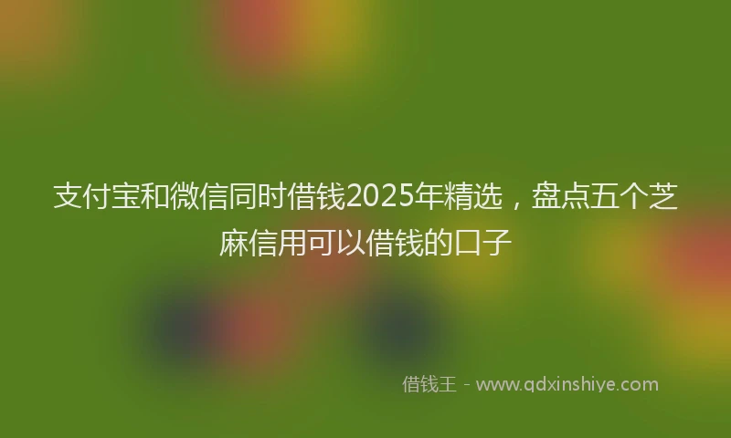 支付宝和微信同时借钱2025年精选，盘点五个芝麻信用可以借钱的口子
