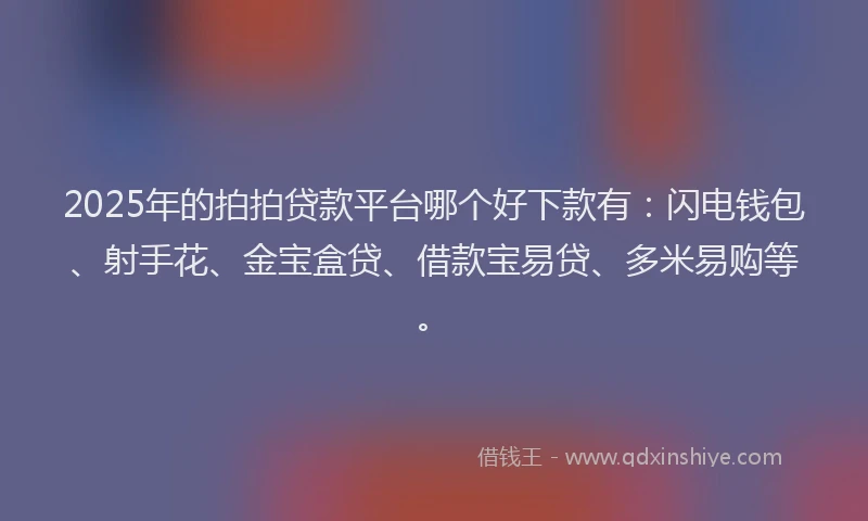 2025年的拍拍贷款平台哪个好下款有：闪电钱包、射手花、金宝盒贷、借款宝易贷、多米易购等。