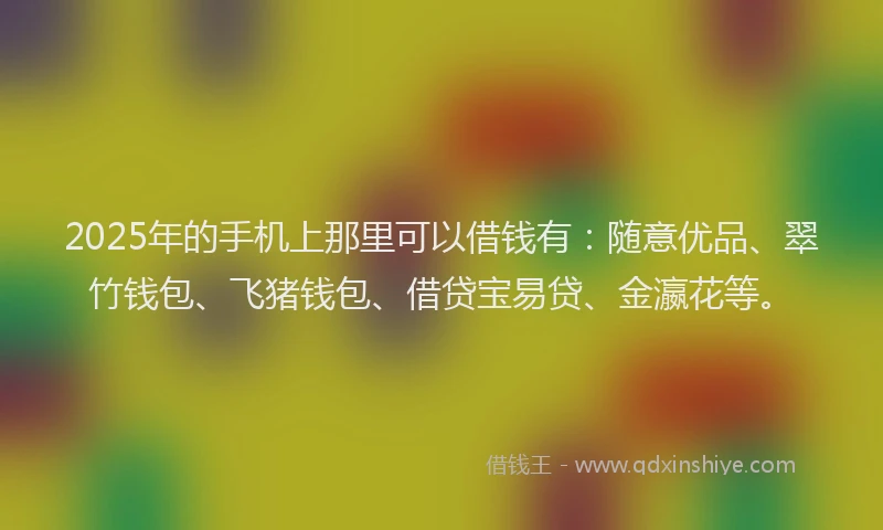 2025年的手机上那里可以借钱有：随意优品、翠竹钱包、飞猪钱包、借贷宝易贷、金瀛花等。