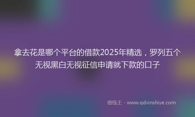 拿去花是哪个平台的借款2025年精选，罗列五个无视黑白无视征信申请就下款的口子