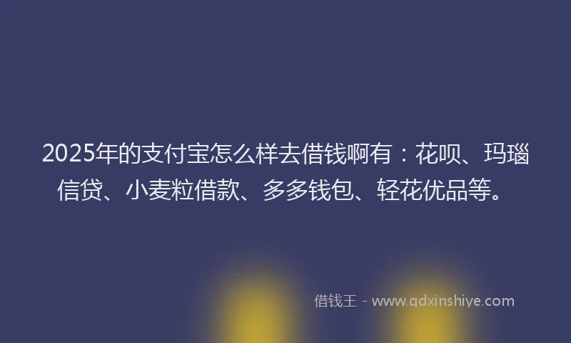 2025年的支付宝怎么样去借钱啊有：花呗、玛瑙信贷、小麦粒借款、多多钱包、轻花优品等。