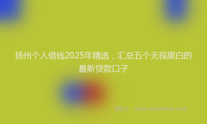 扬州个人借钱2025年精选，汇总五个无视黑白的最新贷款口子