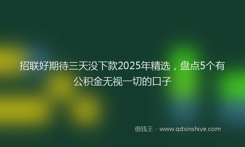 招联好期待三天没下款2025年精选，盘点5个有公积金无视一切的口子