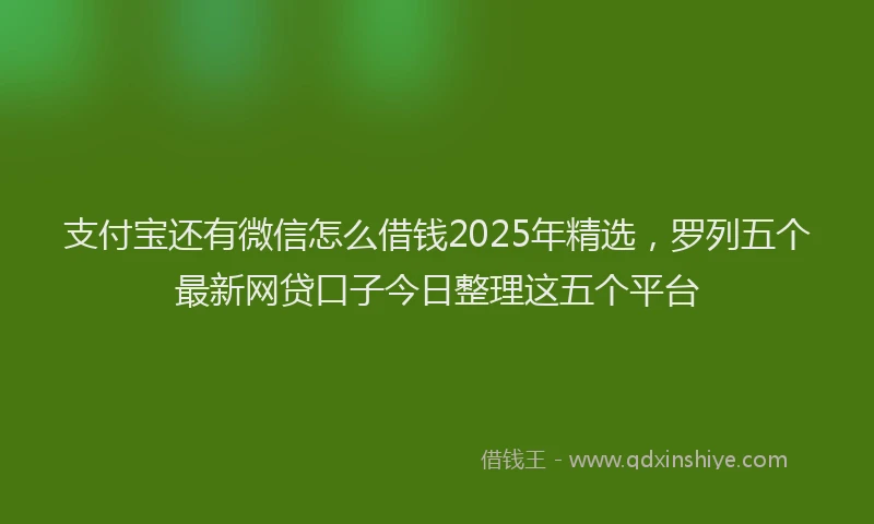 支付宝还有微信怎么借钱2025年精选，罗列五个最新网贷口子今日整理这五个平台