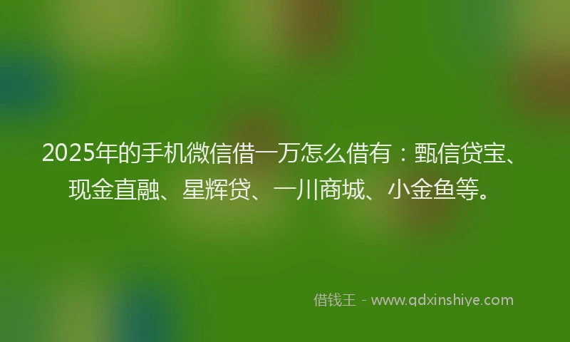 2025年的手机微信借一万怎么借有：甄信贷宝、现金直融、星辉贷、一川商城、小金鱼等。