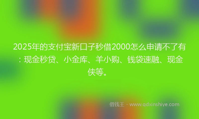 2025年的支付宝新口子秒借2000怎么申请不了有：现金秒贷、小金库、羊小购、钱袋速融、现金侠等。