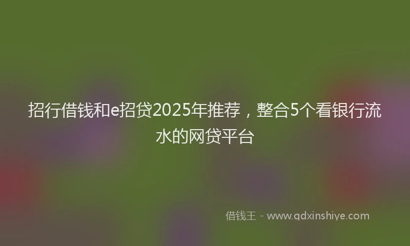 招行借钱和e招贷2025年推荐，整合5个看银行流水的网贷平台