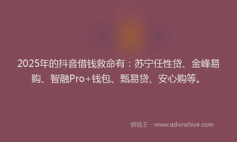 2025年的抖音借钱救命有：苏宁任性贷、金峰易购、智融Pro+钱包、甄易贷、安心购等。