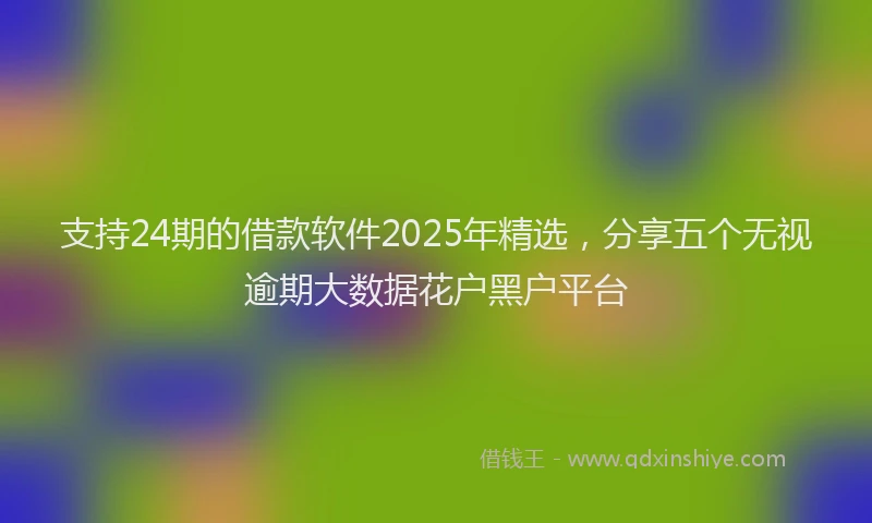 支持24期的借款软件2025年精选，分享五个无视逾期大数据花户黑户平台