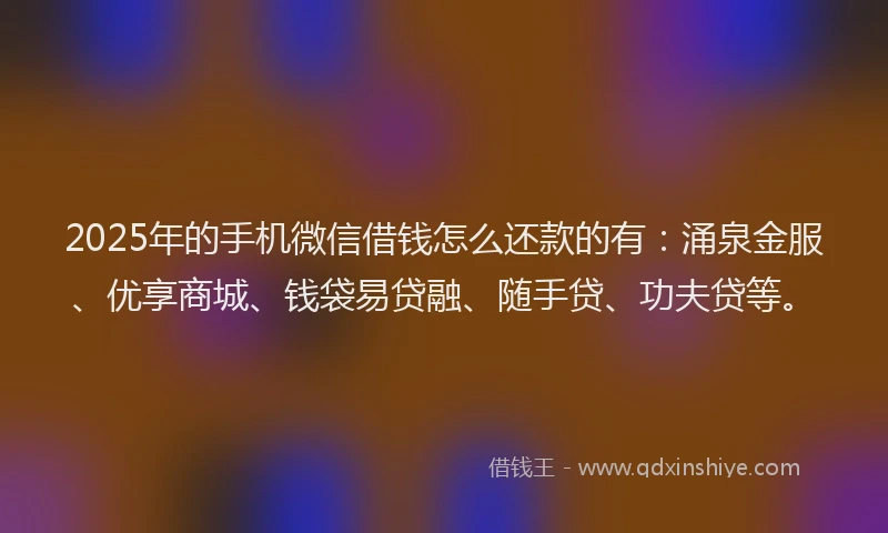 2025年的手机微信借钱怎么还款的有：涌泉金服、优享商城、钱袋易贷融、随手贷、功夫贷等。