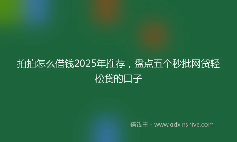 拍拍怎么借钱2025年推荐，盘点五个秒批网贷轻松贷的口子